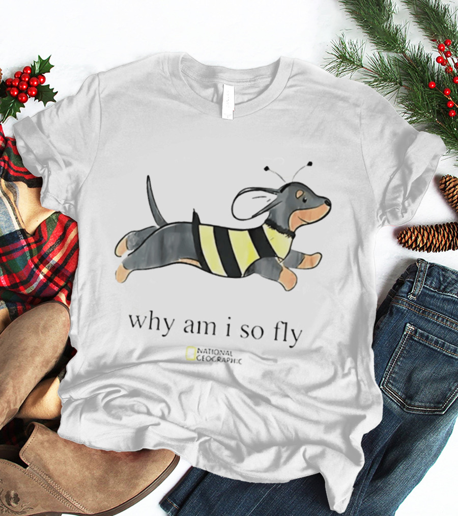 Why Am I So Fly Dachshund Bee National Geographic T-Shirt