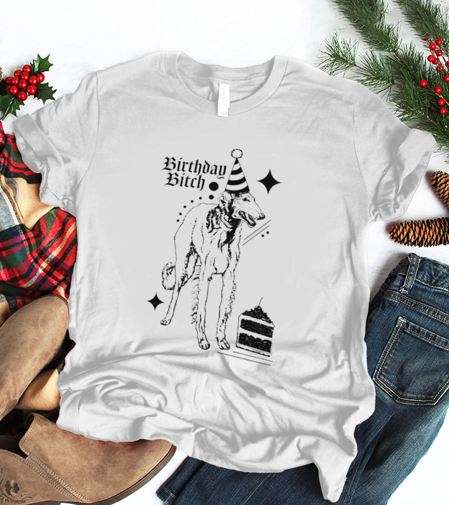 Birthday Bitch Dog Party Hat Cake Celebration Fun T-Shirt