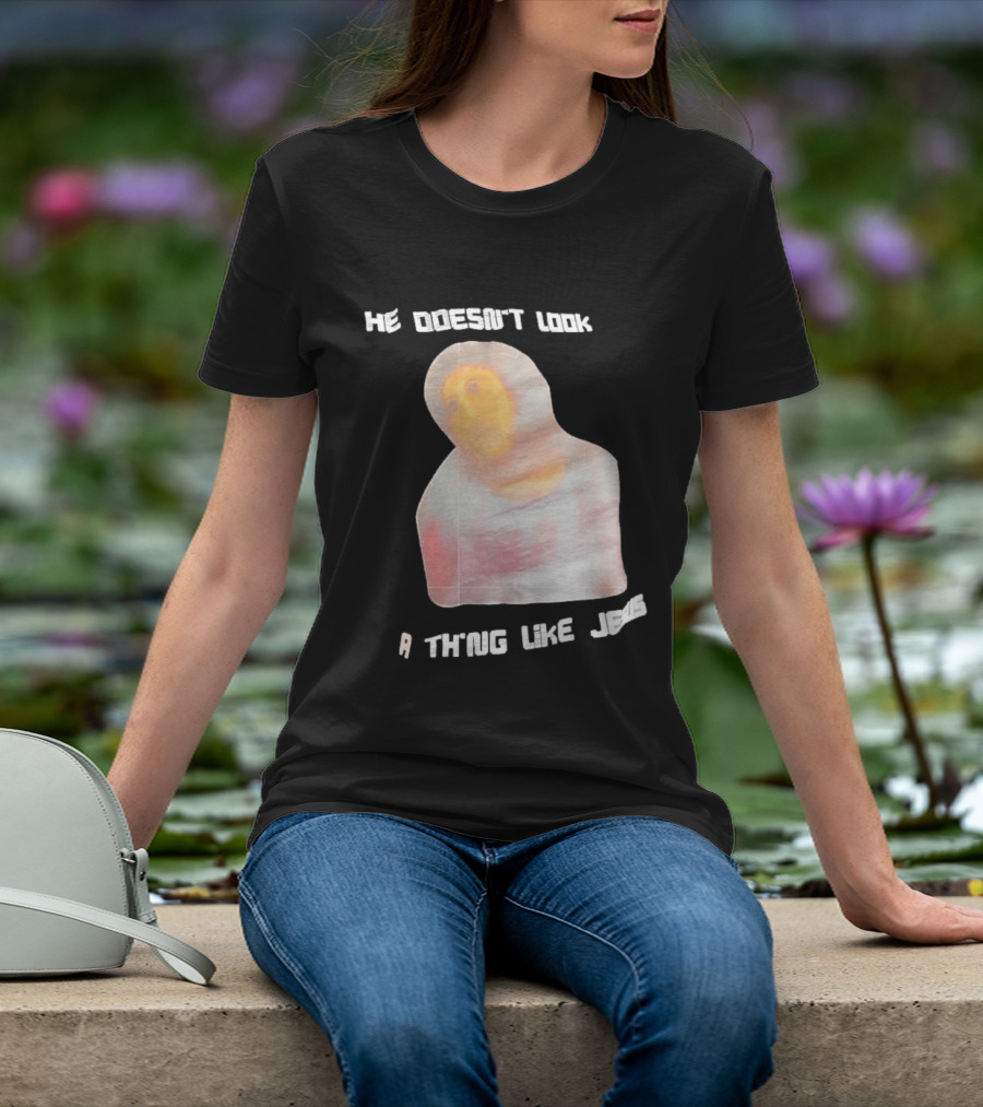 He Doesn't Look A Thing Like Jesus Meme Ecce Homo Restoration T-Shirt