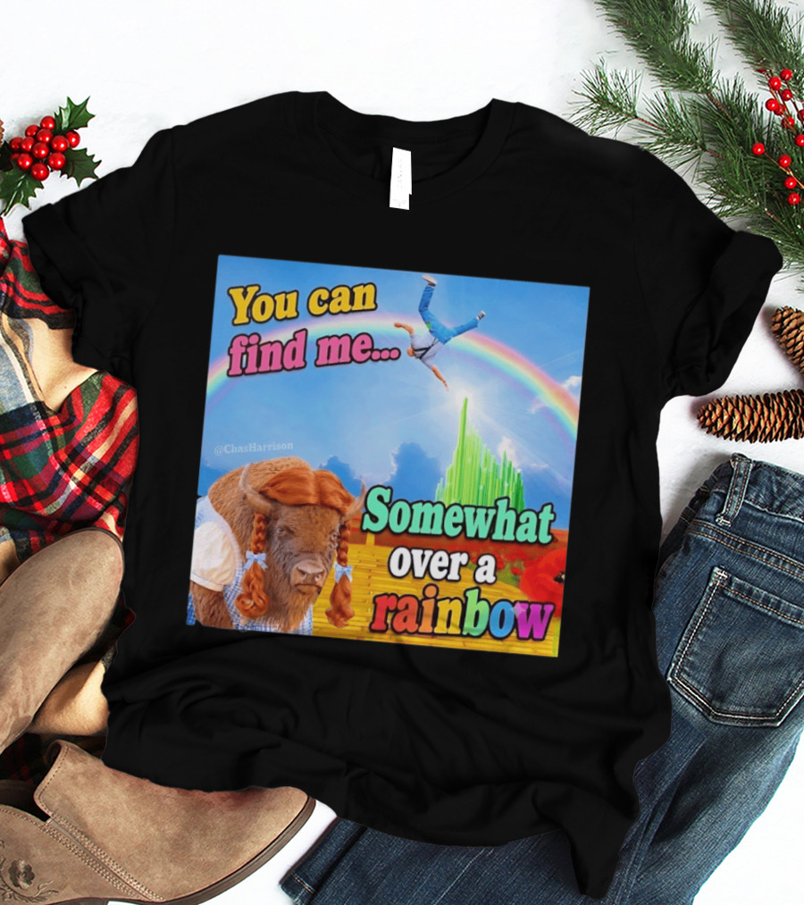 You Can Find Me Somewhat Over A Rainbow Bison Meme T-Shirt