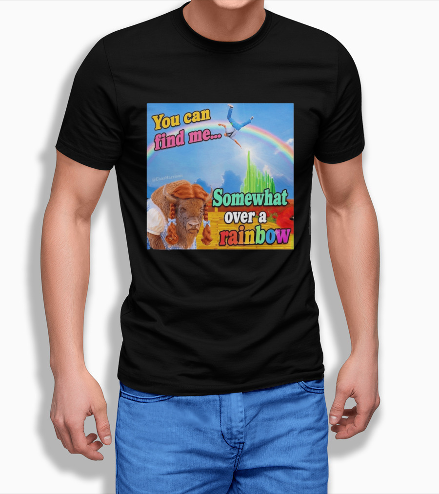 You Can Find Me Somewhat Over A Rainbow Bison Meme T-Shirt