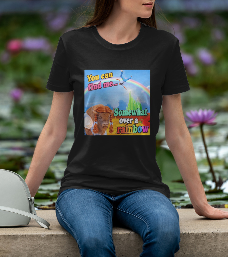 You Can Find Me Somewhat Over A Rainbow Bison Meme T-Shirt