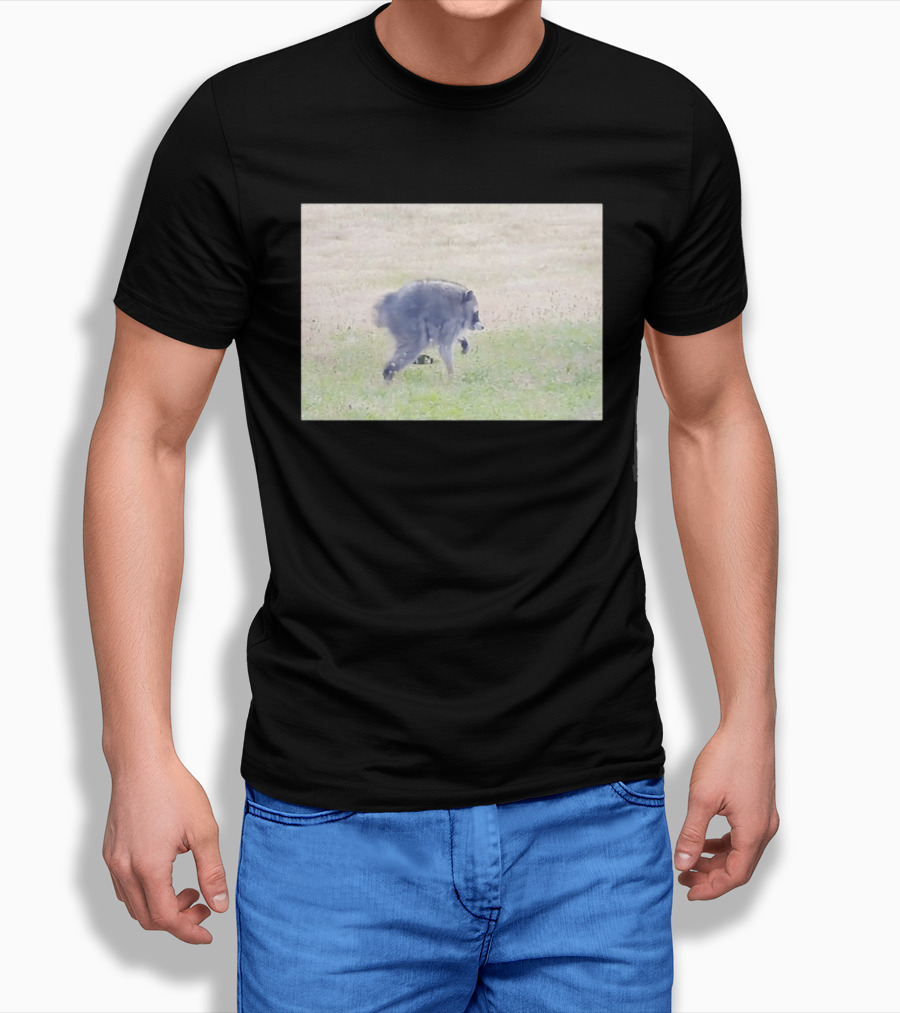 Jimothy Raccoon Walking In Grassy Field Wildlife Scene T-Shirt