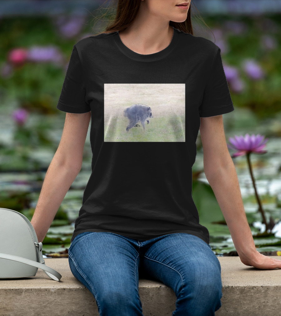 Jimothy Raccoon Walking In Grassy Field Wildlife Scene T-Shirt