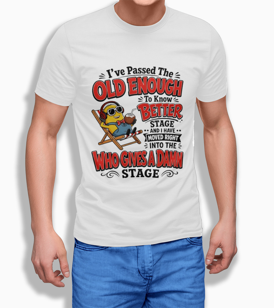 Minion I've Passed The Old Enough To Know Better Stage Who Gives A Damn Stage T-Shirt