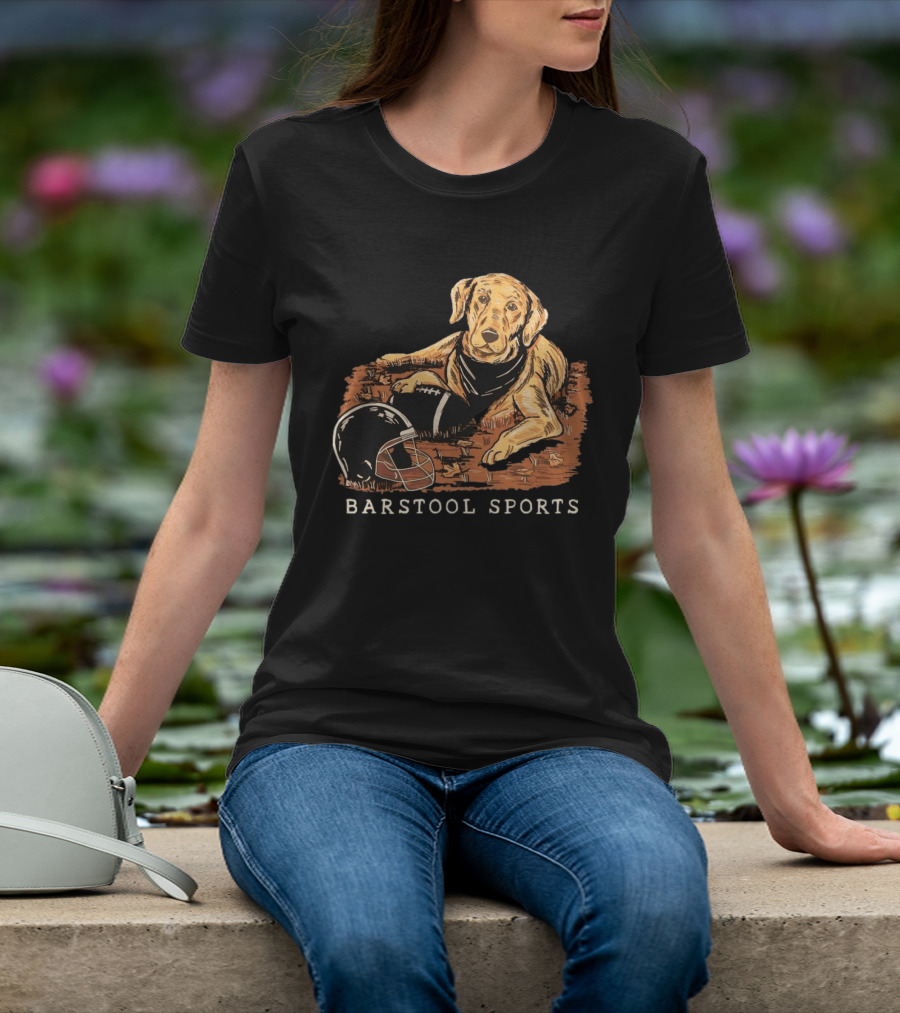 Barstool Sports Fall Football Dog With Helmet And Leaves T-Shirt