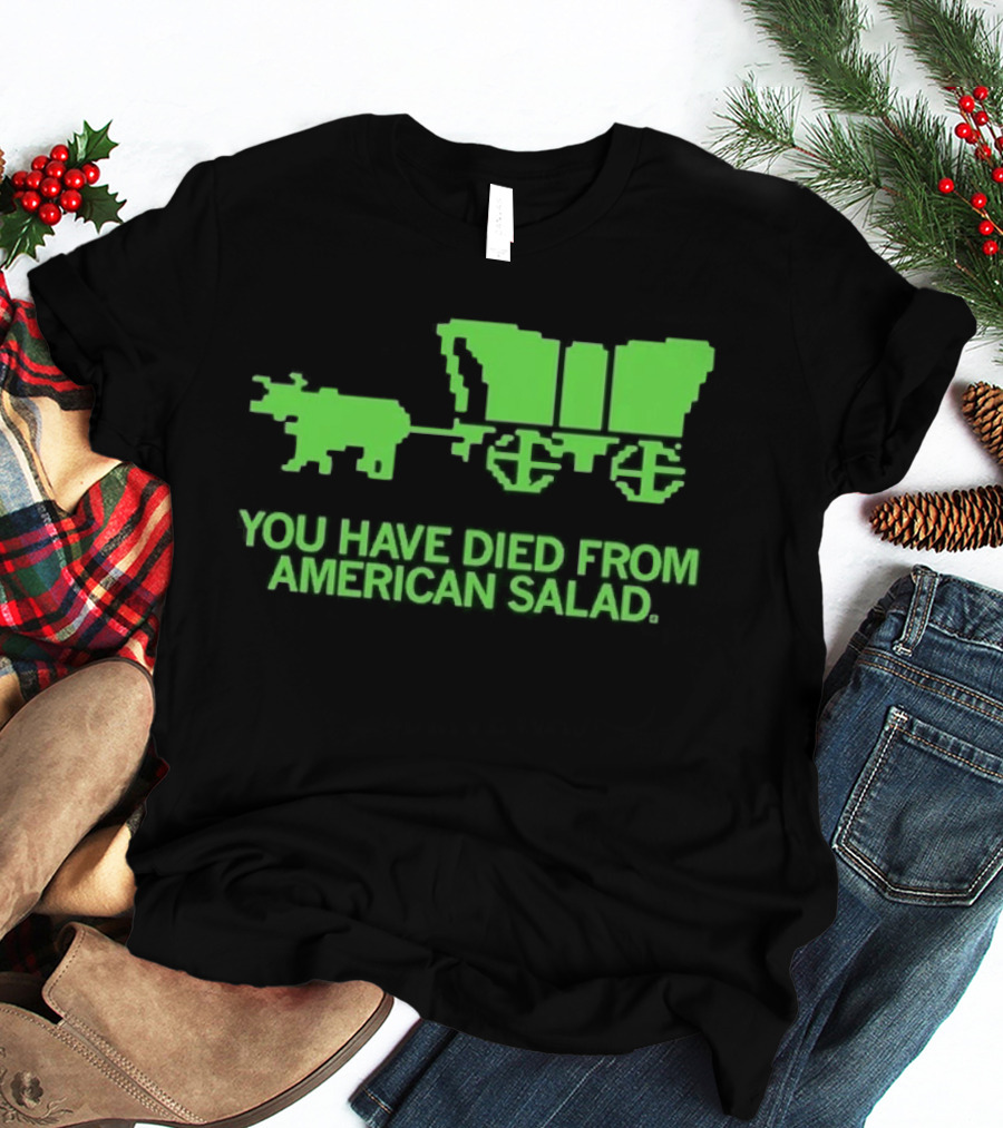 You Have Died From American Salad Ox Cart Retro Gaming Spoof T-Shirt