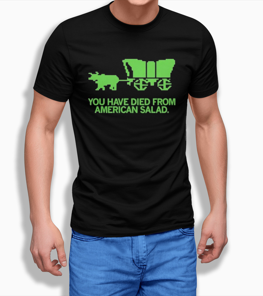 You Have Died From American Salad Ox Cart Retro Gaming Spoof T-Shirt