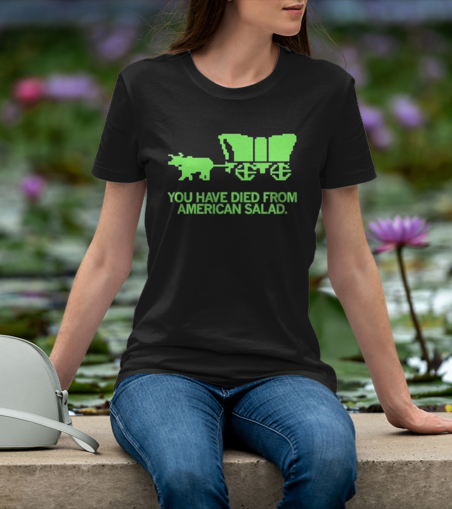 You Have Died From American Salad Ox Cart Retro Gaming Spoof T-Shirt