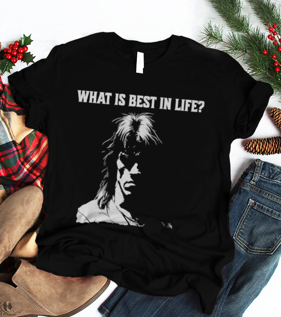 What Is Best In Life Conan The Barbarian T-Shirt