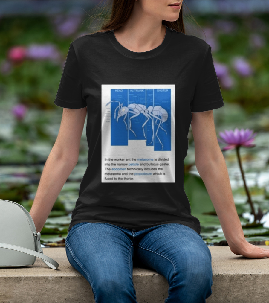 Head Alitrunk Gaster Metasoma Petiole Anatomy Of An Ant T-Shirt