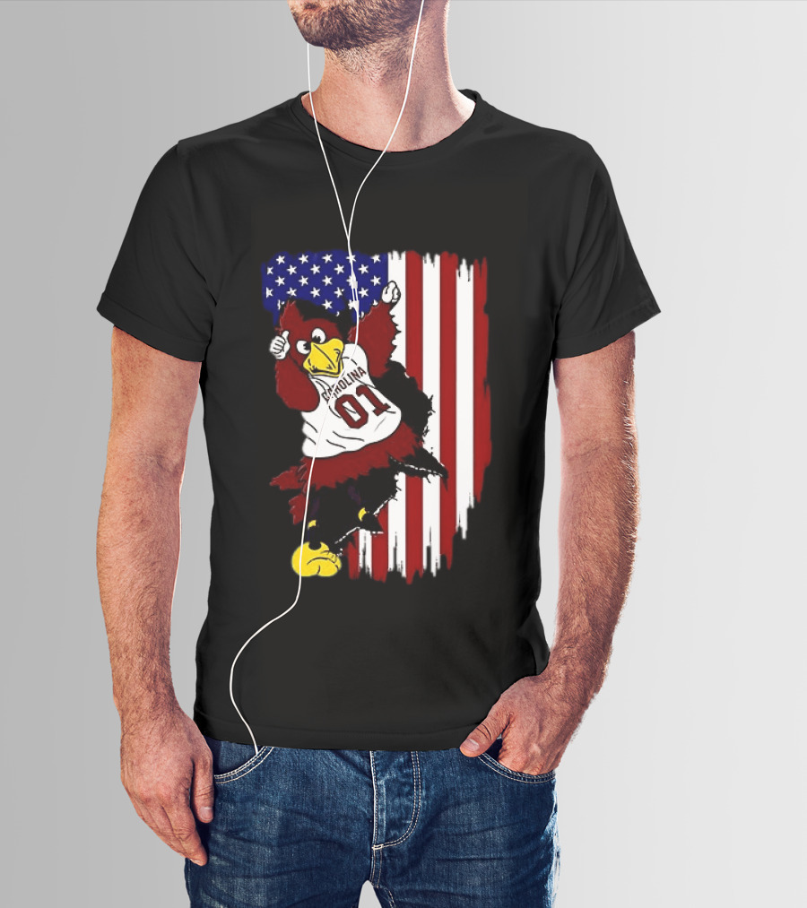 South Carolina Gamecocks Carolina 01 USA Flag We The People T-Shirt