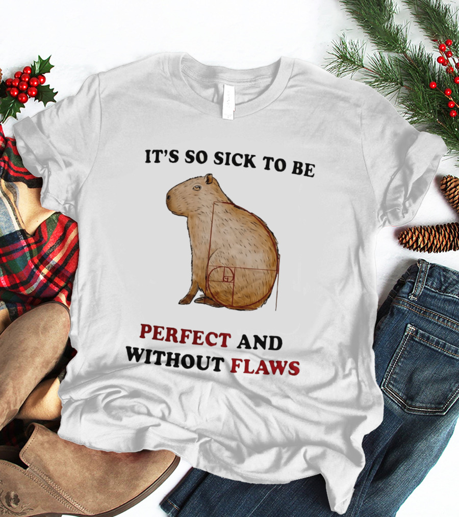 Capybara It's So Sick To Be Perfect And Without Flaws Fibonacci Spiral T-Shirt