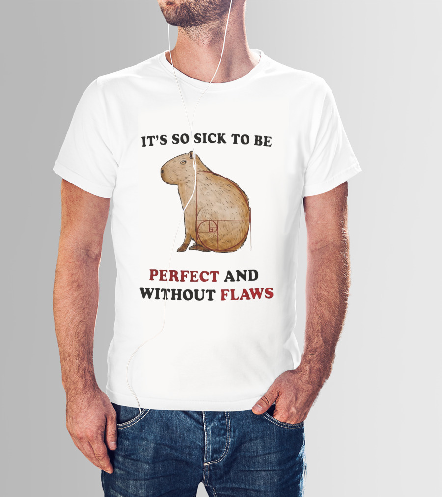 Capybara It's So Sick To Be Perfect And Without Flaws Fibonacci Spiral T-Shirt