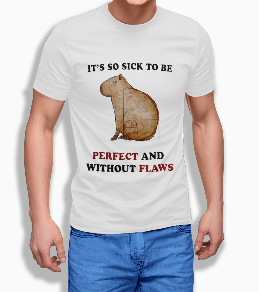 Capybara It's So Sick To Be Perfect And Without Flaws Fibonacci Spiral T-Shirt