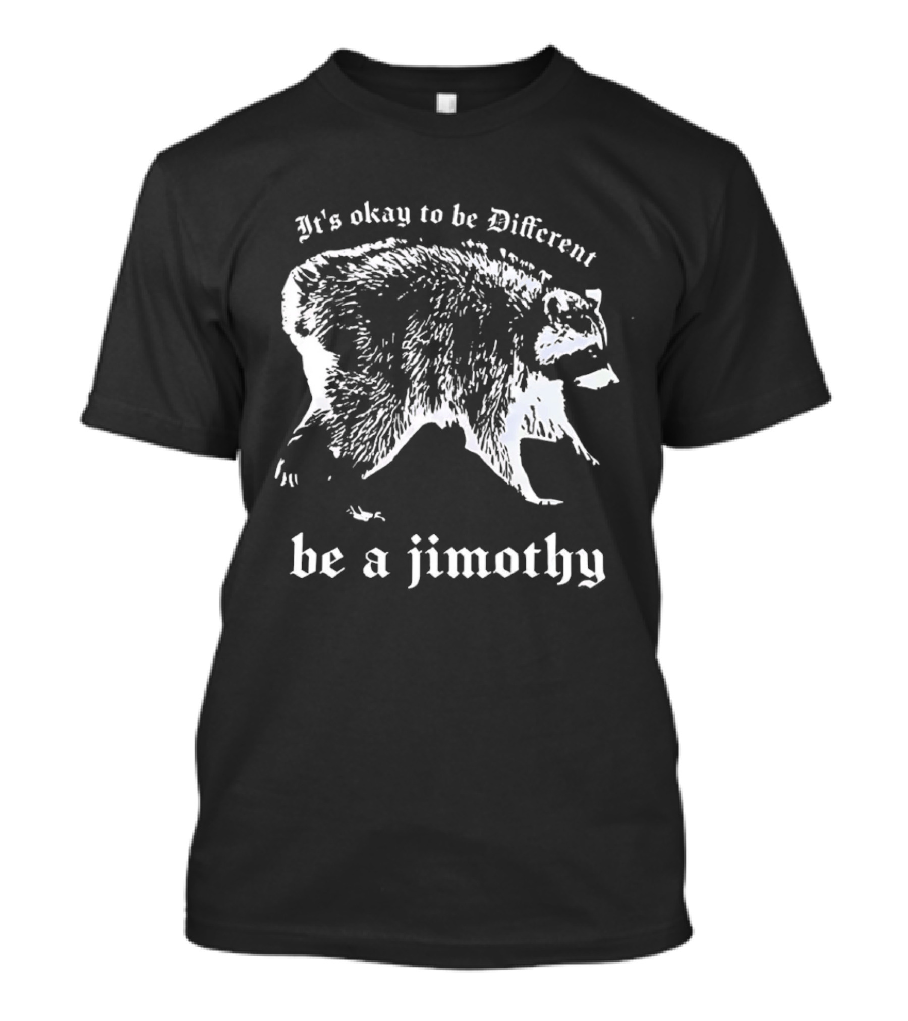 It's Okay To Be Different Be A Jimothy T-Shirt