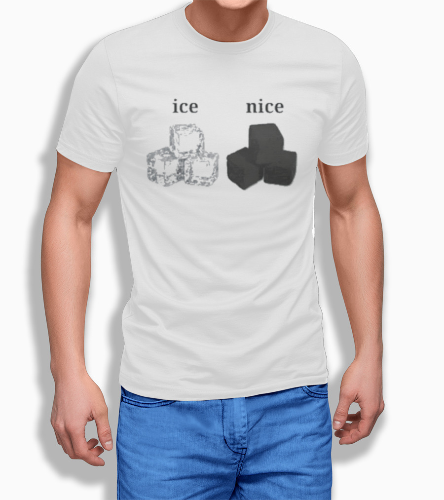 Ice Vs Nice Cubes Playful Word T-Shirt