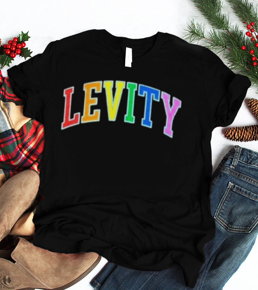 Levity You Will Now Experience Levity T-Shirt