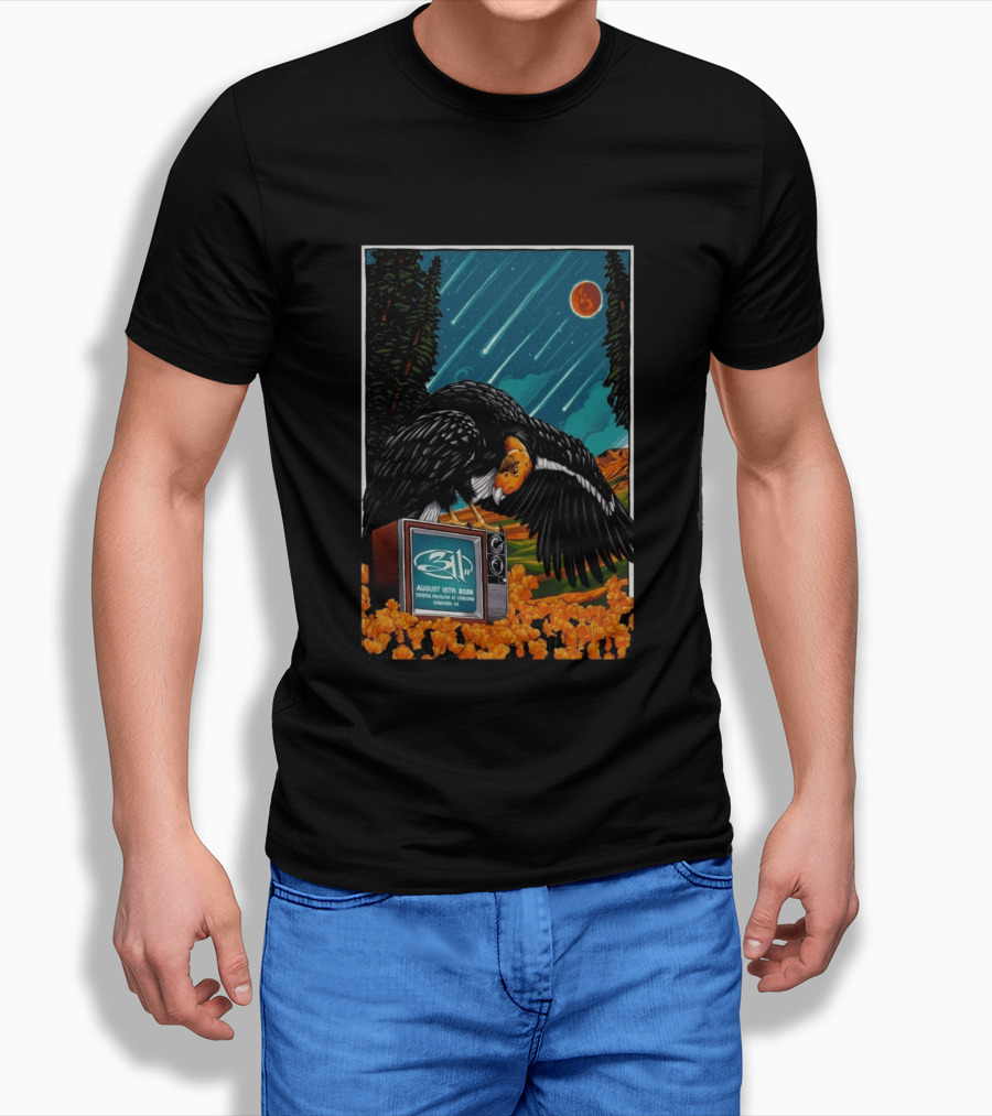311 Toyota Pavilion Concord Event August 15 2026 California T-Shirt