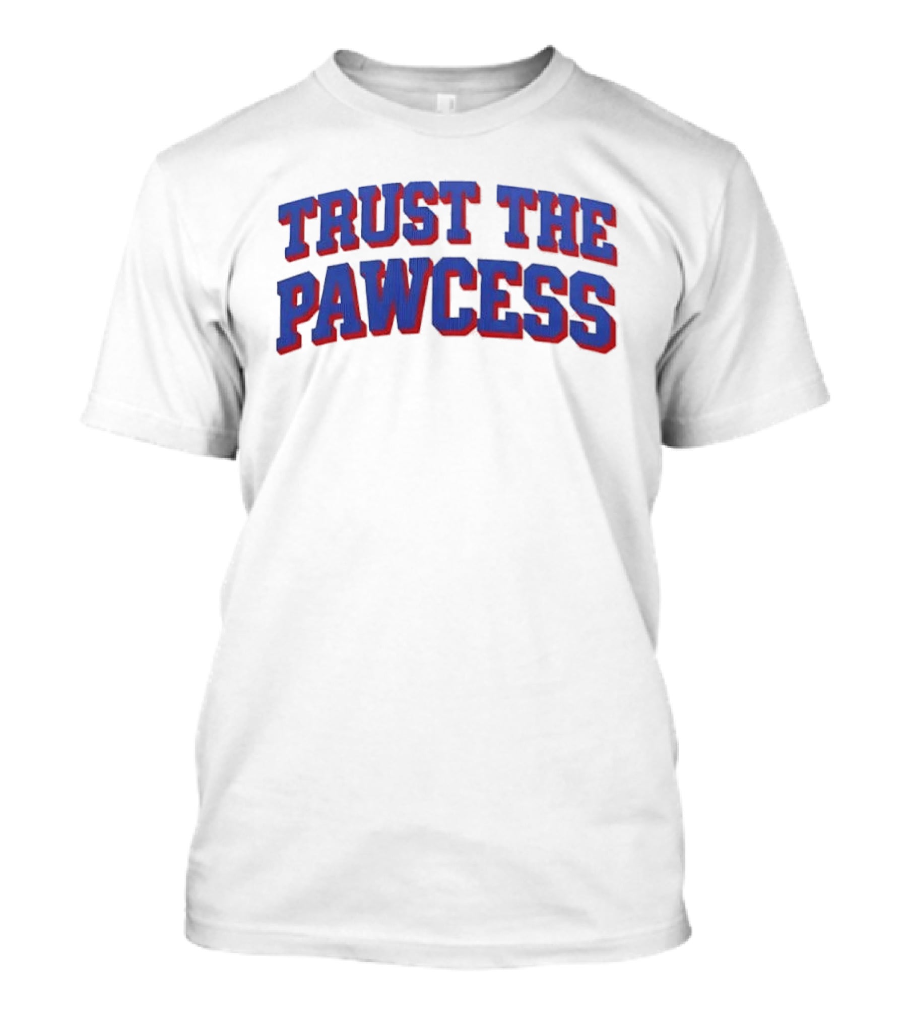 Trust The Pawcess Blue Red Arched 3D Wood Grain T-Shirt