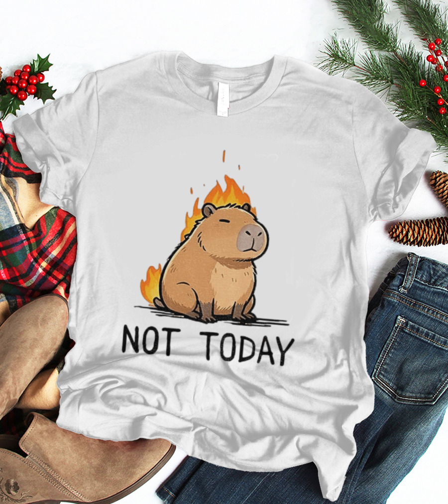 Capybara On Fire Not Today Calm Meme T-Shirt