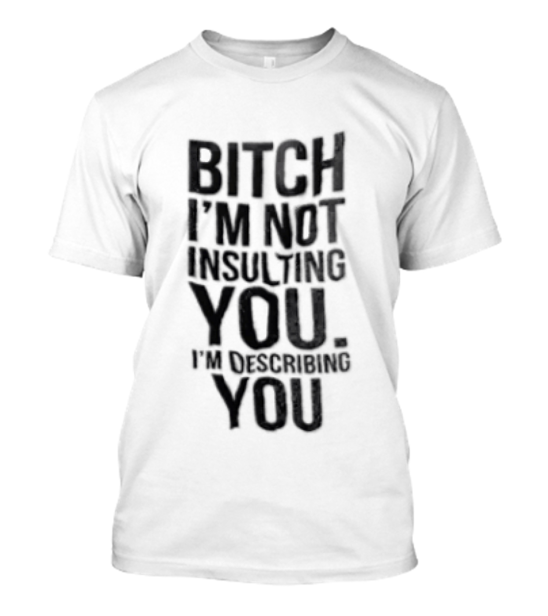 Bitch I'm Not Insulting You I'm Describing You T-Shirt