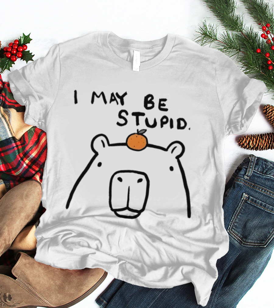 Capybara Orange I May Be Stupid T-Shirt