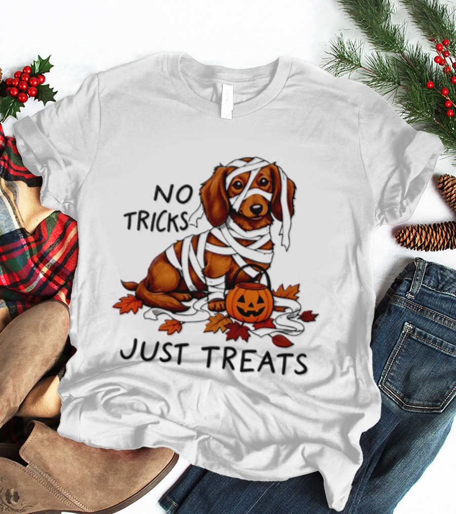 No Tricks Just Treats Dachshund Mummy Halloween Pumpkin Dog T-Shirt