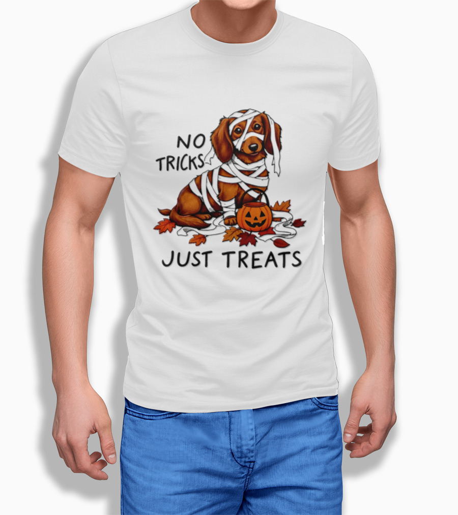 No Tricks Just Treats Dachshund Mummy Halloween Pumpkin Dog T-Shirt