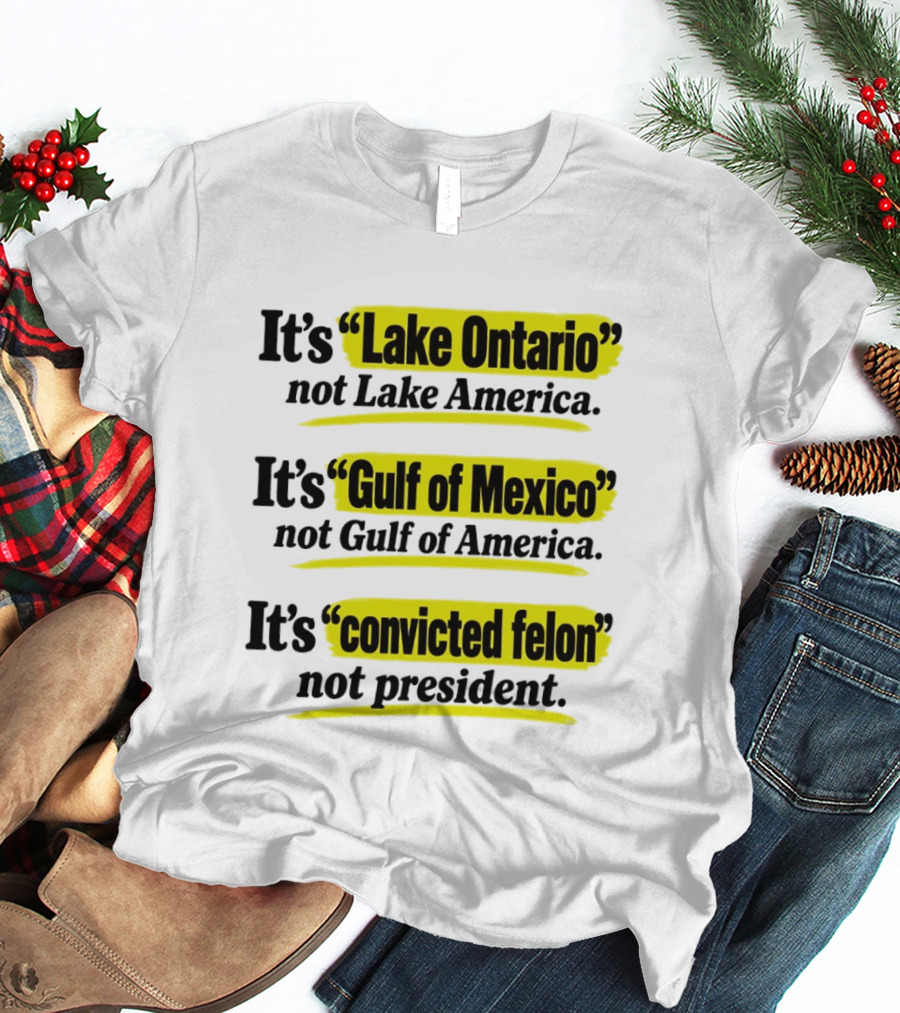 It's Lake Ontario Not Lake America Gulf Of Mexico Not Gulf Of America Convicted Felon Not President T-Shirt