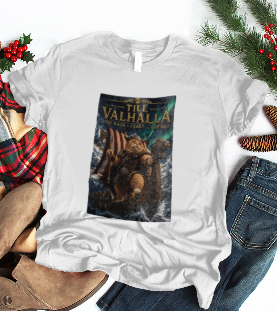 Till Valhalla Raid Feast Nap Viking Cat On Longship With Northern Lights T-Shirt
