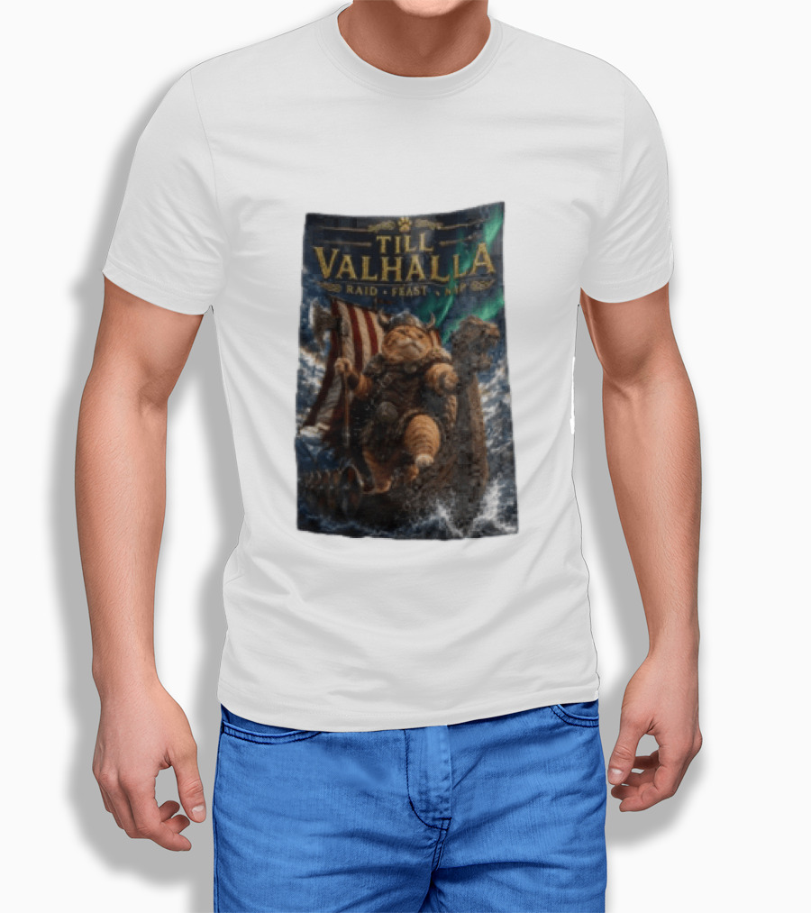 Till Valhalla Raid Feast Nap Viking Cat On Longship With Northern Lights T-Shirt