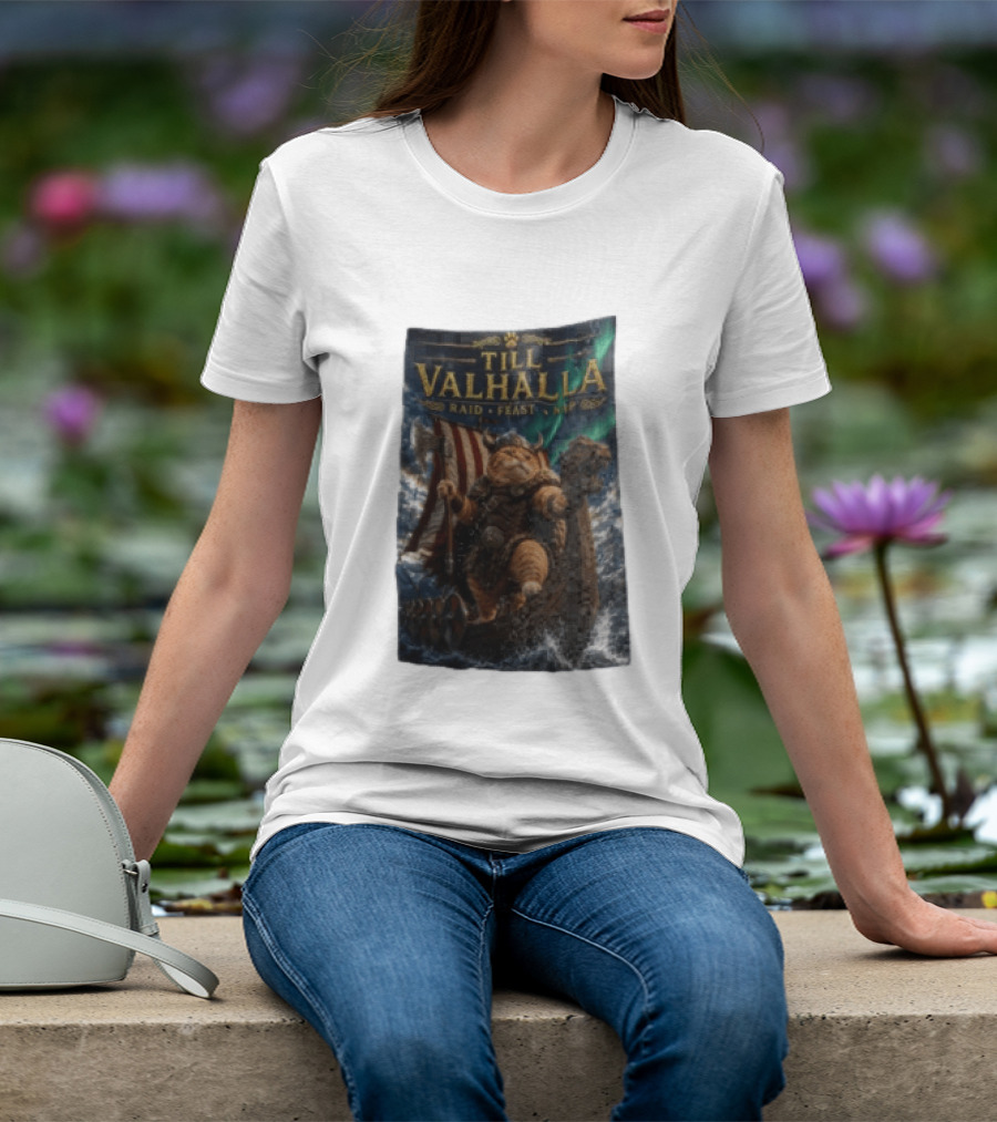 Till Valhalla Raid Feast Nap Viking Cat On Longship With Northern Lights T-Shirt