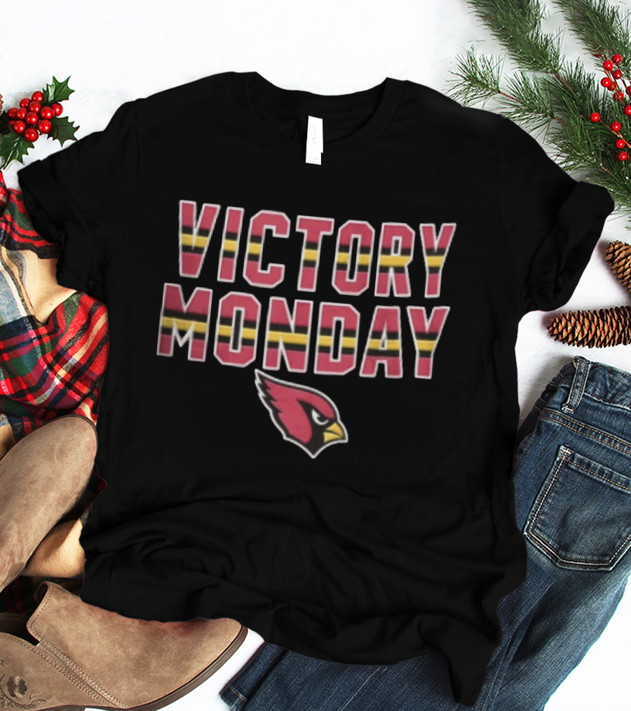Victory Monday Arizona Cardinals Bird Head Striped T-Shirt
