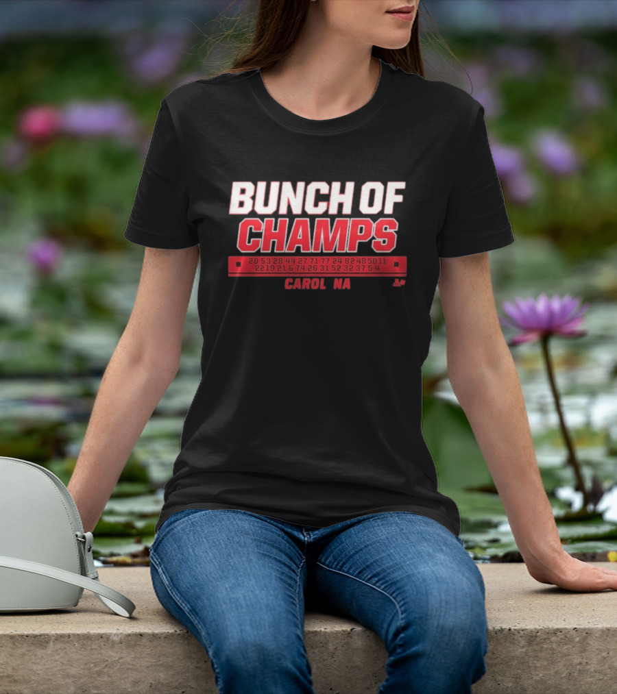 Bunch Of Champs Carolina Hockey Numbers Series T-Shirt