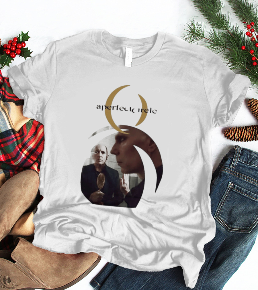 A Perfect Circle 2026 Tour Image With Band Members T-Shirt