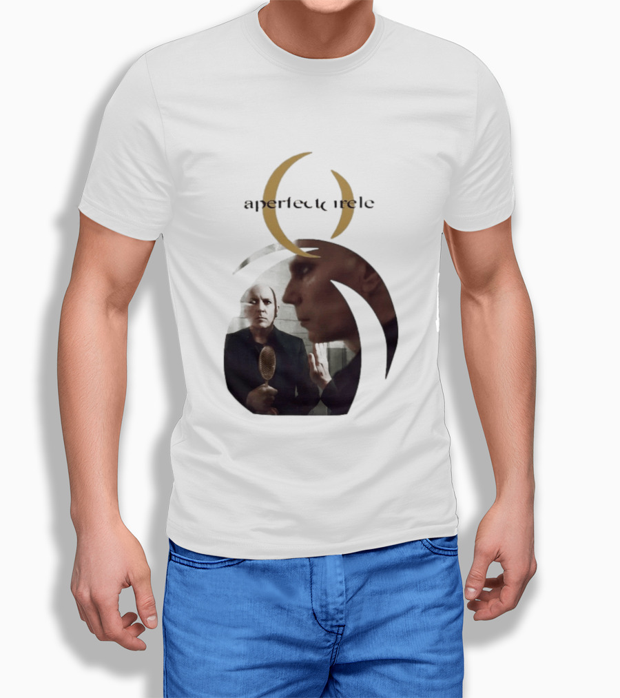 A Perfect Circle 2026 Tour Image With Band Members T-Shirt