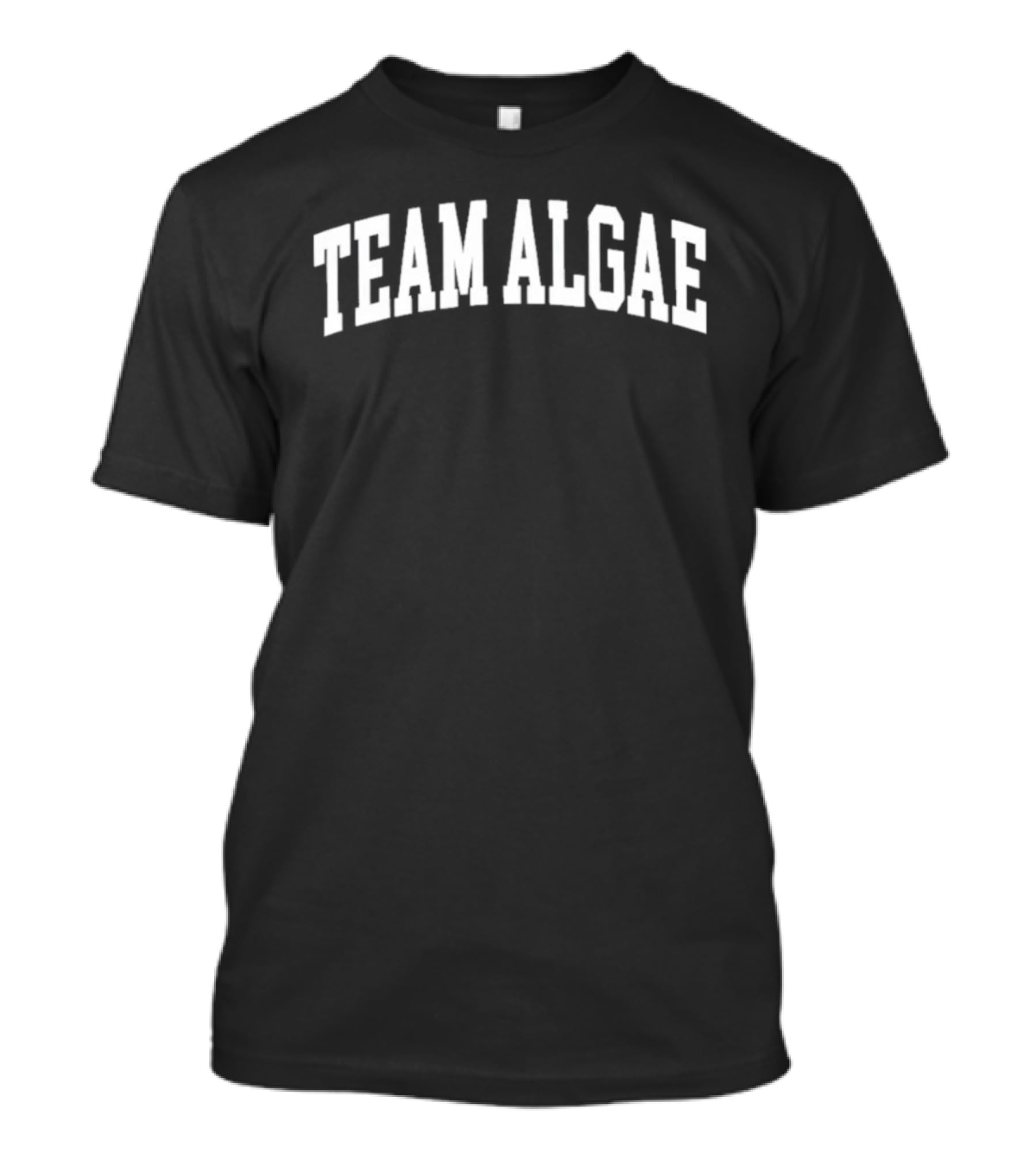 Team Algae Abolish Ice DC Protest Reflecting Pool Anniversary T-Shirt