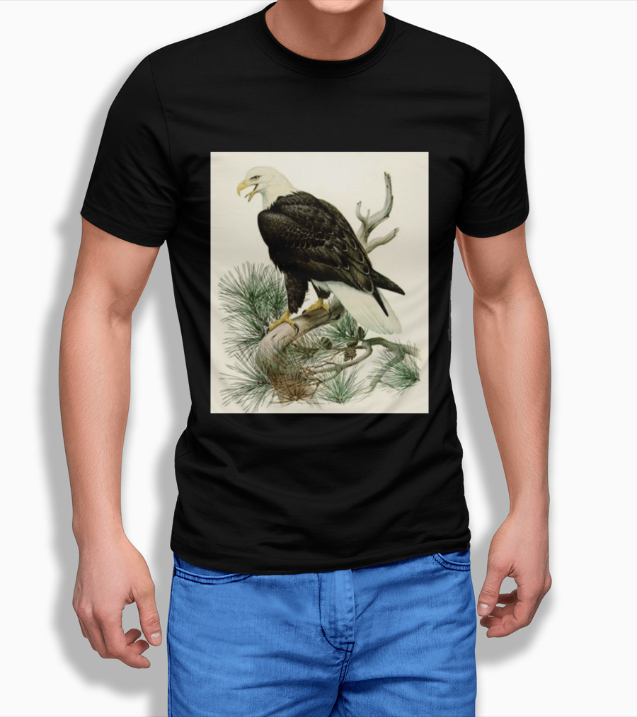 Roger Tory Peterson Bald Eagle Illustration On Stone Background 2026 T-Shirt