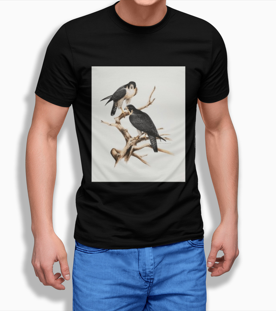Roger Tory Peterson Peregrines 2026 Adult Ash Bird T-Shirt