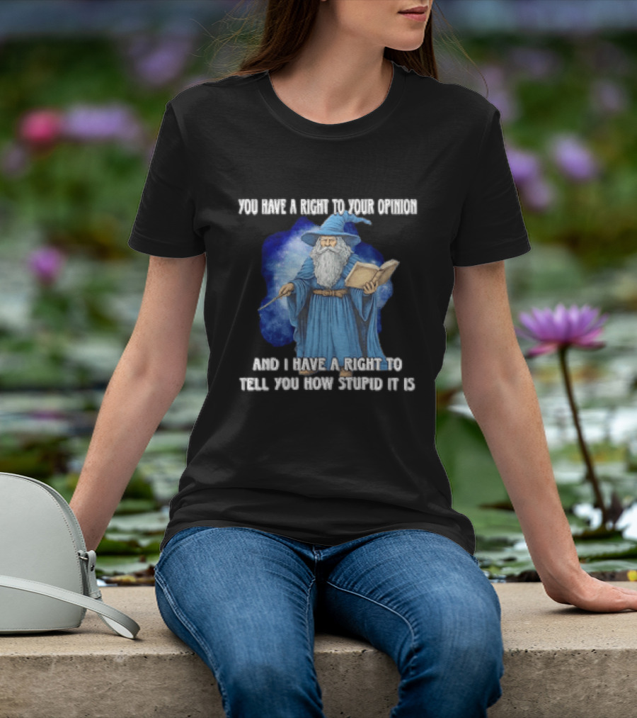 Wizard You Have A Right To Your Opinion And I Have A Right To Tell You How Stupid It Is T-Shirt