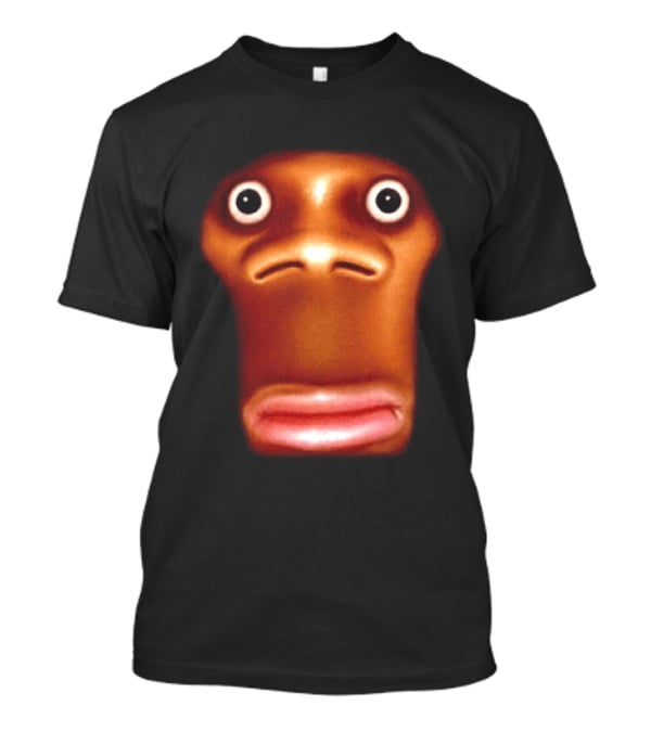 Stop Looking At Me Face Staring Meme Brown Expression T-Shirt