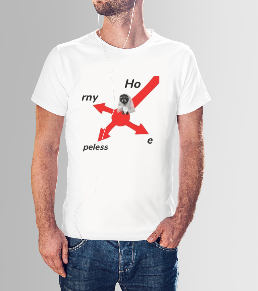 Raccoon Meme Ho Rny Peless Compass T-Shirt