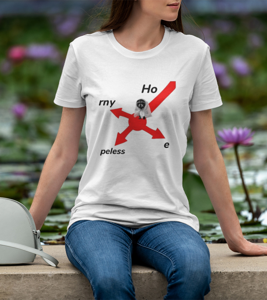 Raccoon Meme Ho Rny Peless Compass T-Shirt