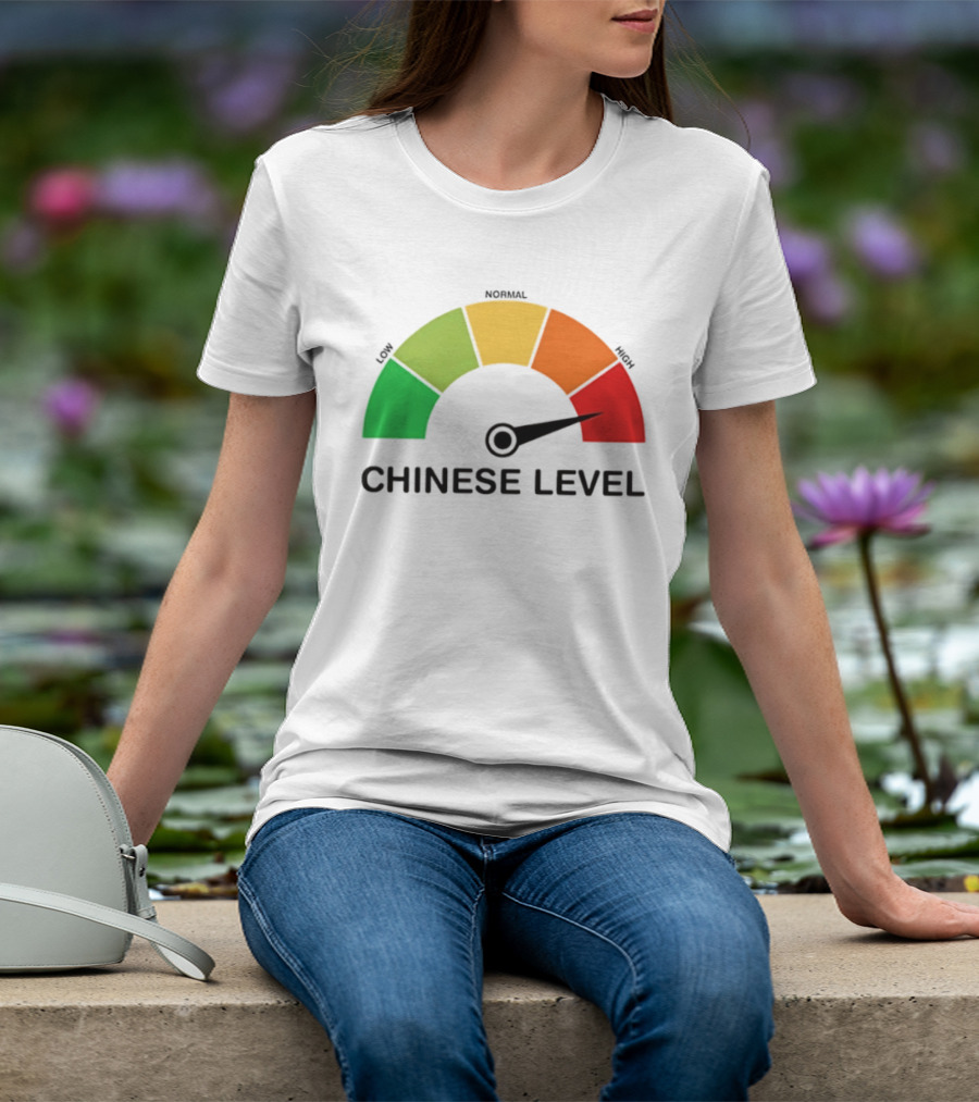 Chinese Level Meter Low Normal High Gauge T-Shirt