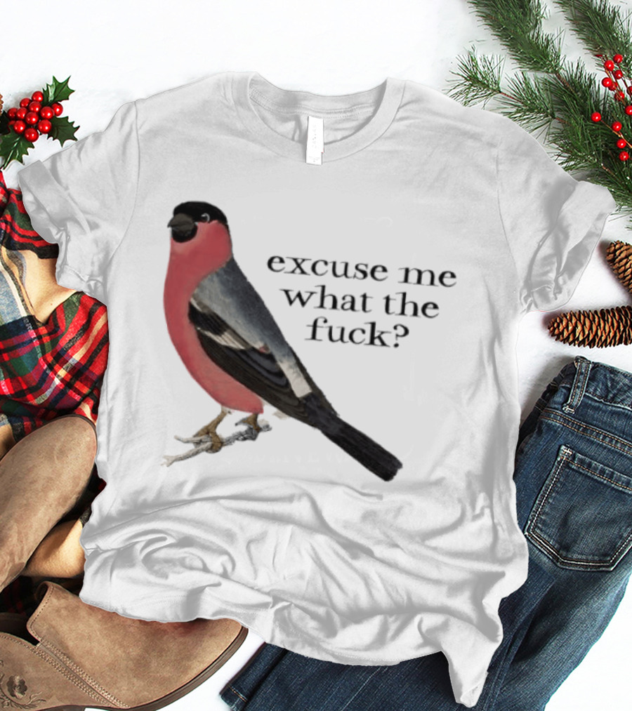 Eurasian Bullfinch Bird Excuse Me What The Fuck T-Shirt