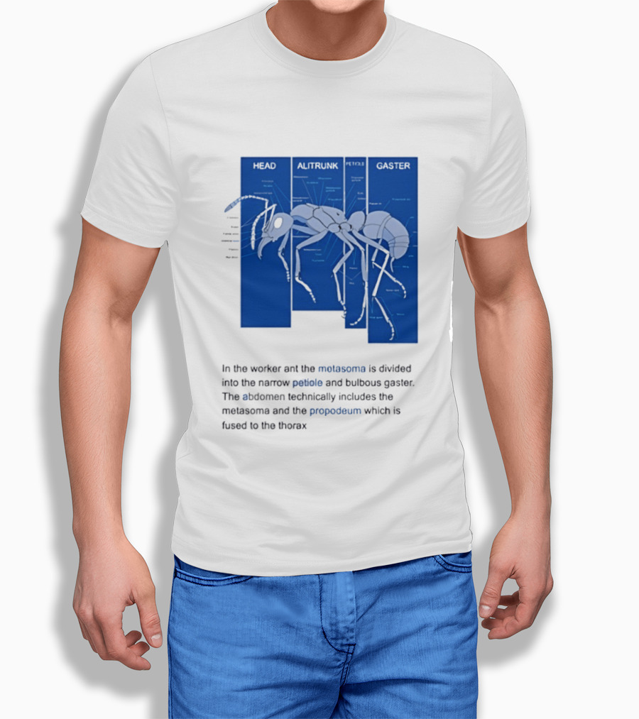 Worker Ant Diagram Head Alitrunk Gaster Metasoma Petiole Biology T-Shirt