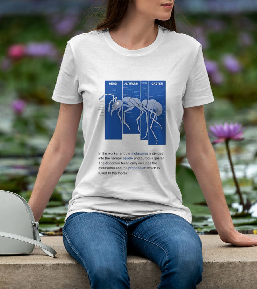 Worker Ant Diagram Head Alitrunk Gaster Metasoma Petiole Biology T-Shirt