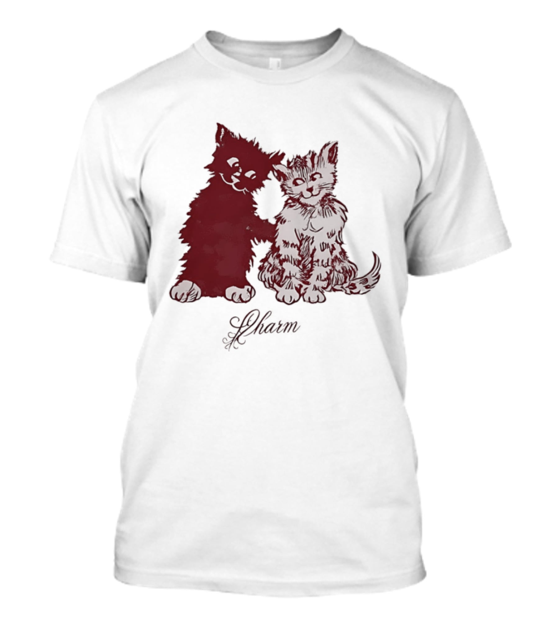 Charm Kittens Cats Hugging T-Shirt