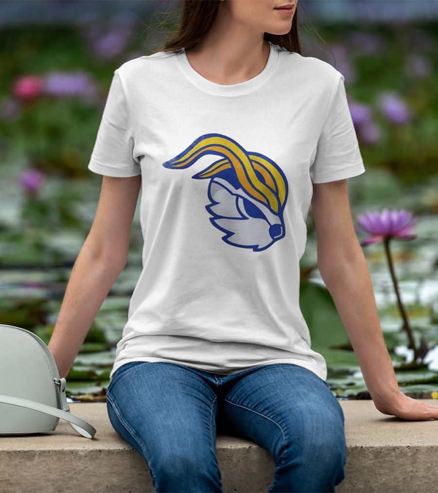 Los Angeles Rams X Pokémon 30th Anniversary Older No Level Up T-Shirt